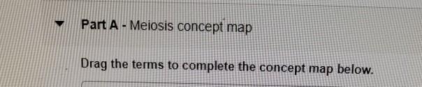 Solved Part A - Meiosis concept map Drag the terms to | Chegg.com
