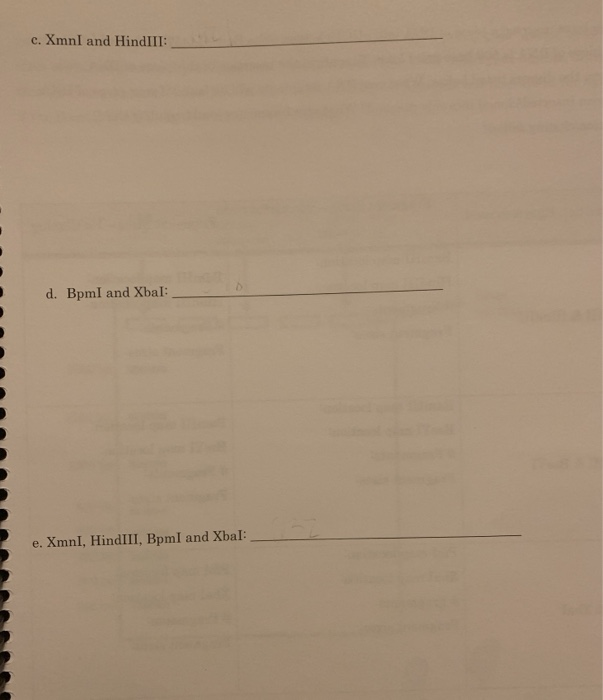 Solved LAB QUESTIONS Below is a map for the plasmid pUC19. | Chegg.com
