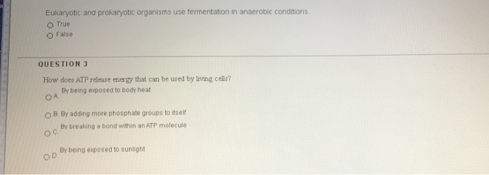 Solved Eukaryotic and prokaryotic organisms use fermentation | Chegg.com