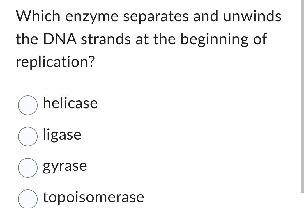 Solved Which enzyme separates and unwinds the DNA strands at | Chegg.com