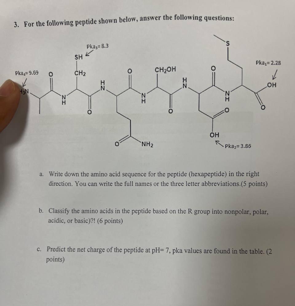 Solved 3. For The Following Peptide Shown Below, Answer The | Chegg.com