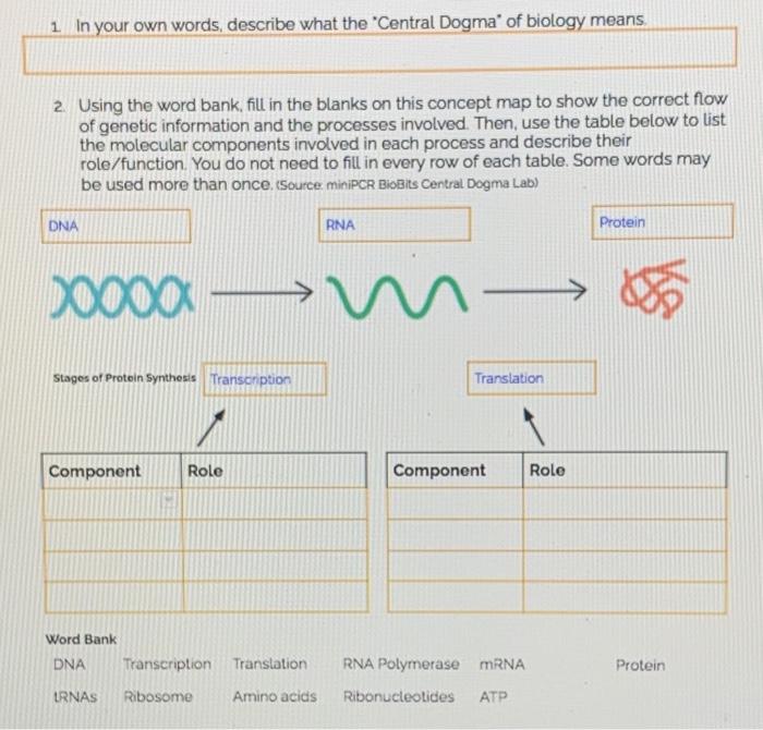 solved-1-in-your-own-words-describe-what-the-central-chegg