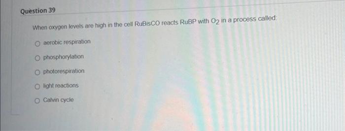 Solved When oxygen levels are high in the cell RuBisCO | Chegg.com