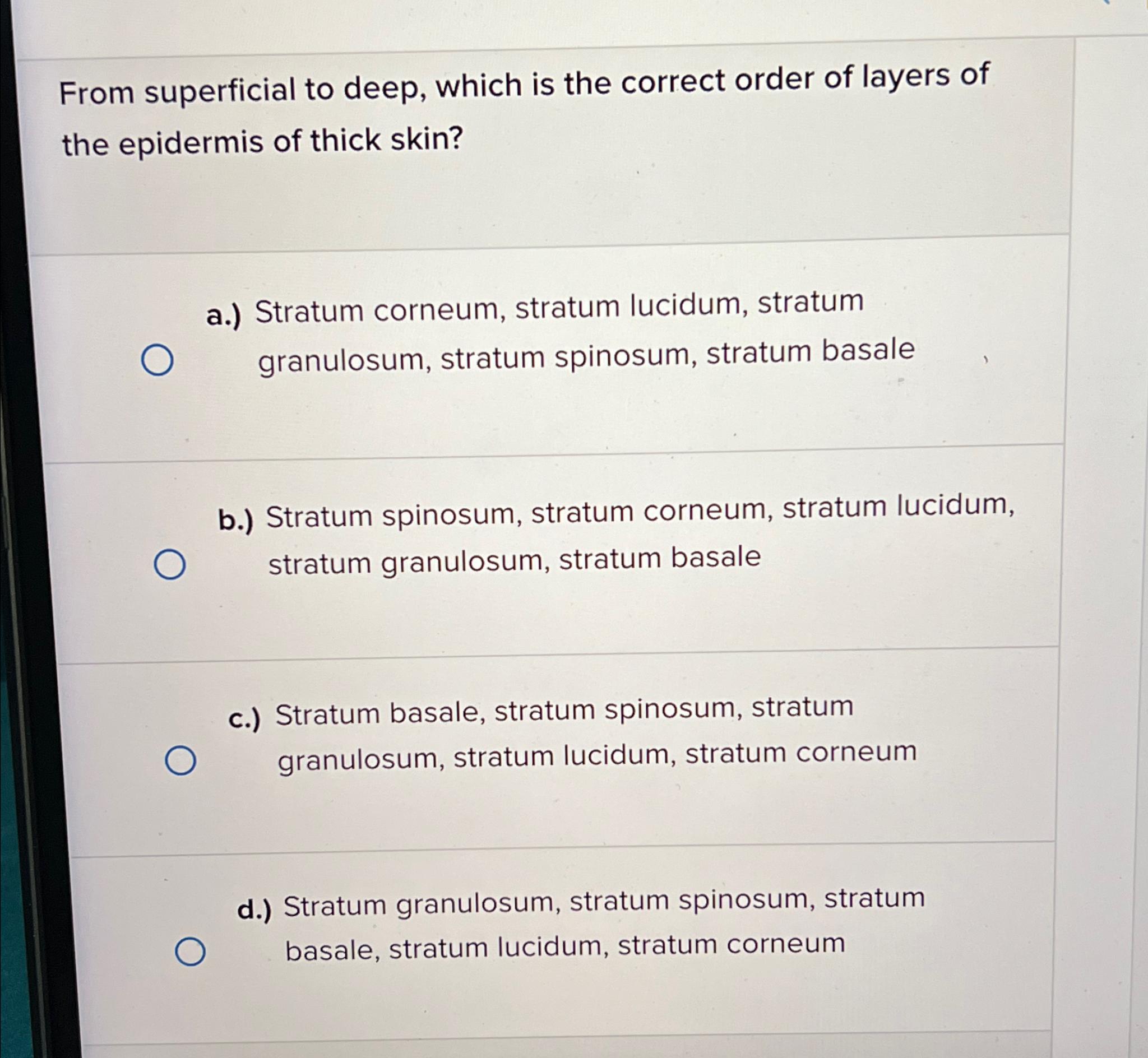 Solved From superficial to deep, which is the correct order | Chegg.com