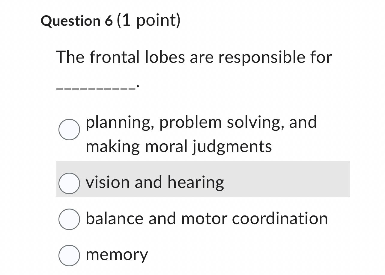 Solved Question 6 (1 point)The frontal lobes are | Chegg.com