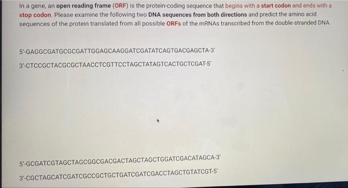 Solved In a gene, an open reading frame (ORF) is the | Chegg.com