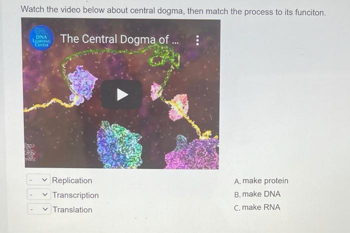 Solved Watch the video below about central dogma, then match | Chegg.com