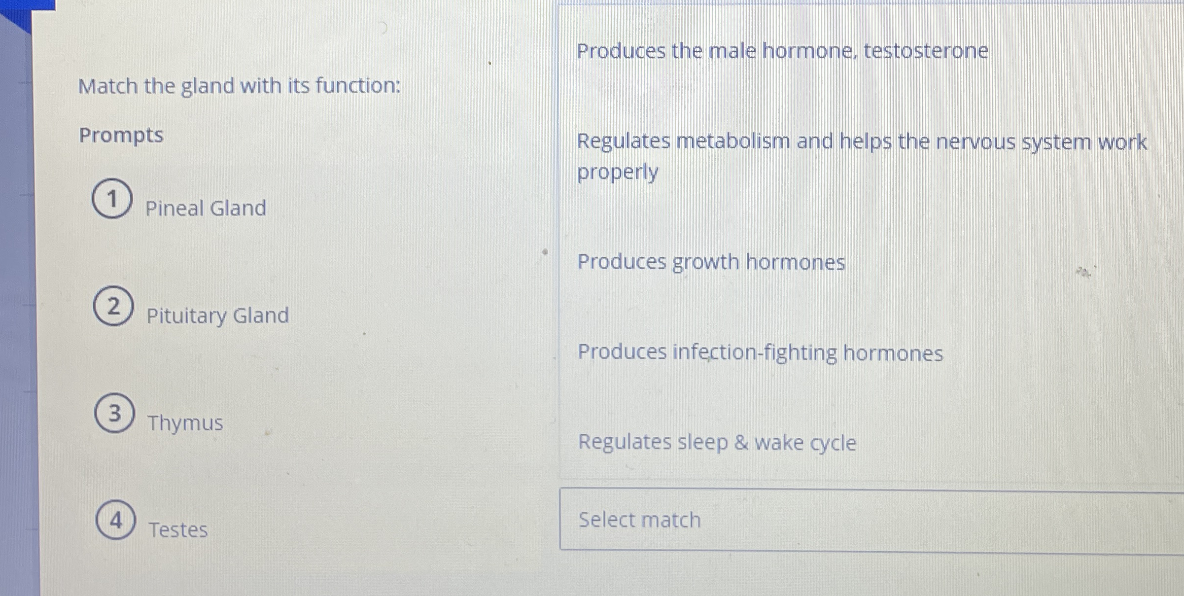 Solved Match the gland with its functionPrompts ﻿Pineal