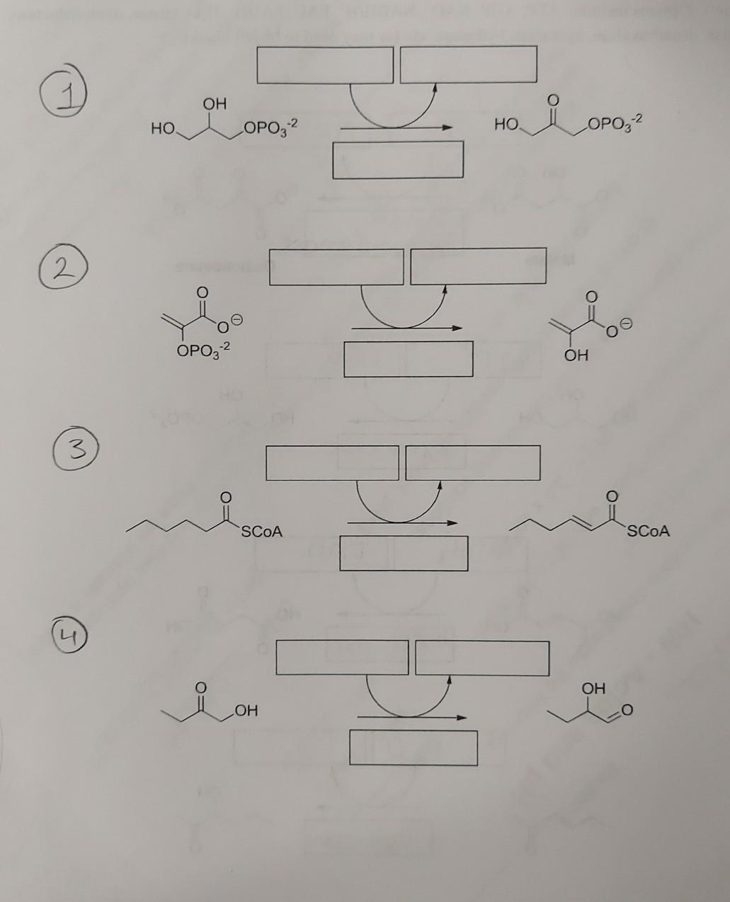 Solved Fill in the bellow boxes with the appropriate | Chegg.com