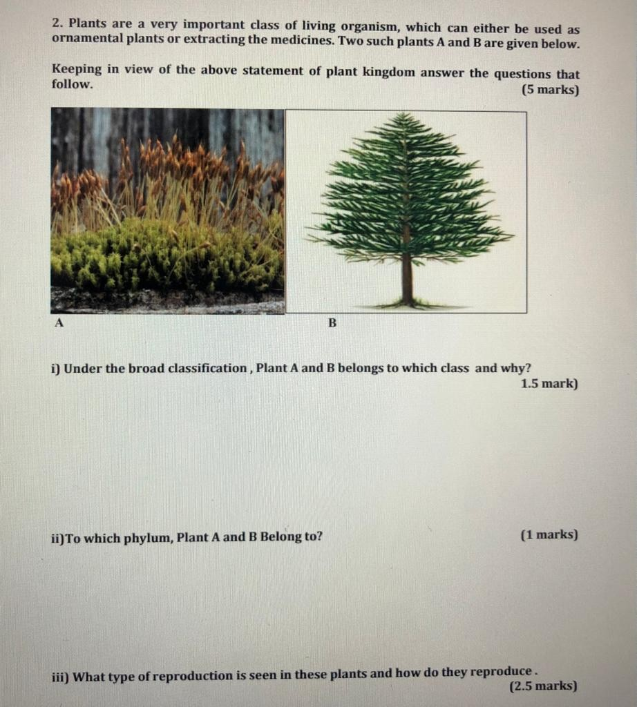 Solved 2 Plants Are A Very Important Class Of Living Org Chegg Com