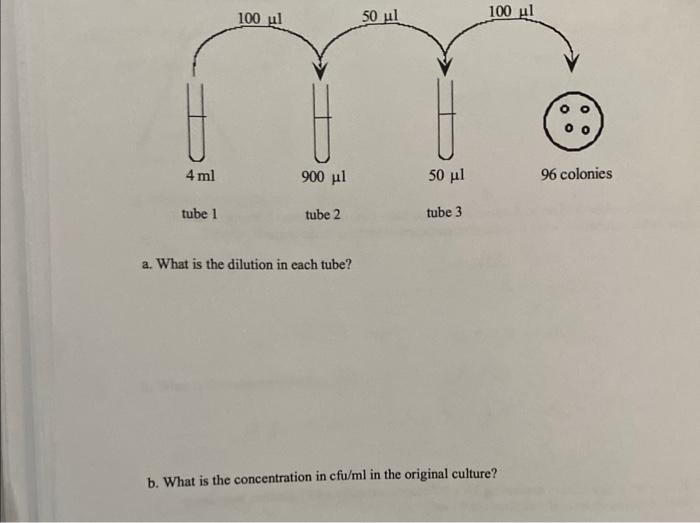 Solved a. What is the dilution in each tube? b. What is the | Chegg.com