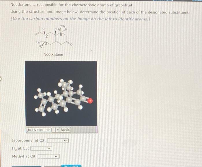 Nootkatone is responsible for the characteristic aroma of grapefruit.
Using the structure and image below, determine the posi