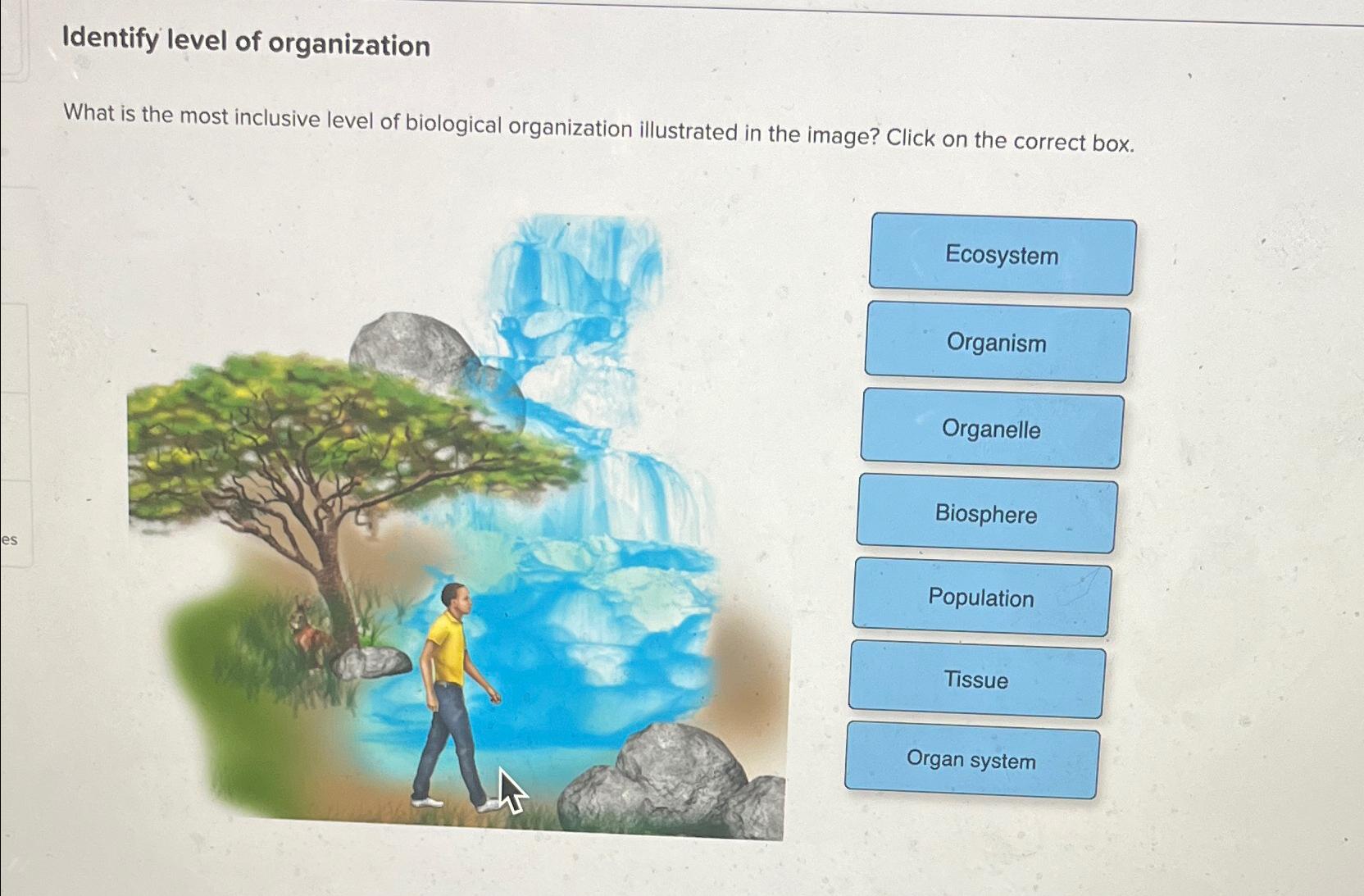 Solved Identify level of organizationWhat is the most