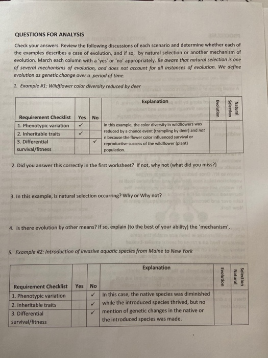 Solved Questions For Analysis Check Your Answers Review Chegg Com