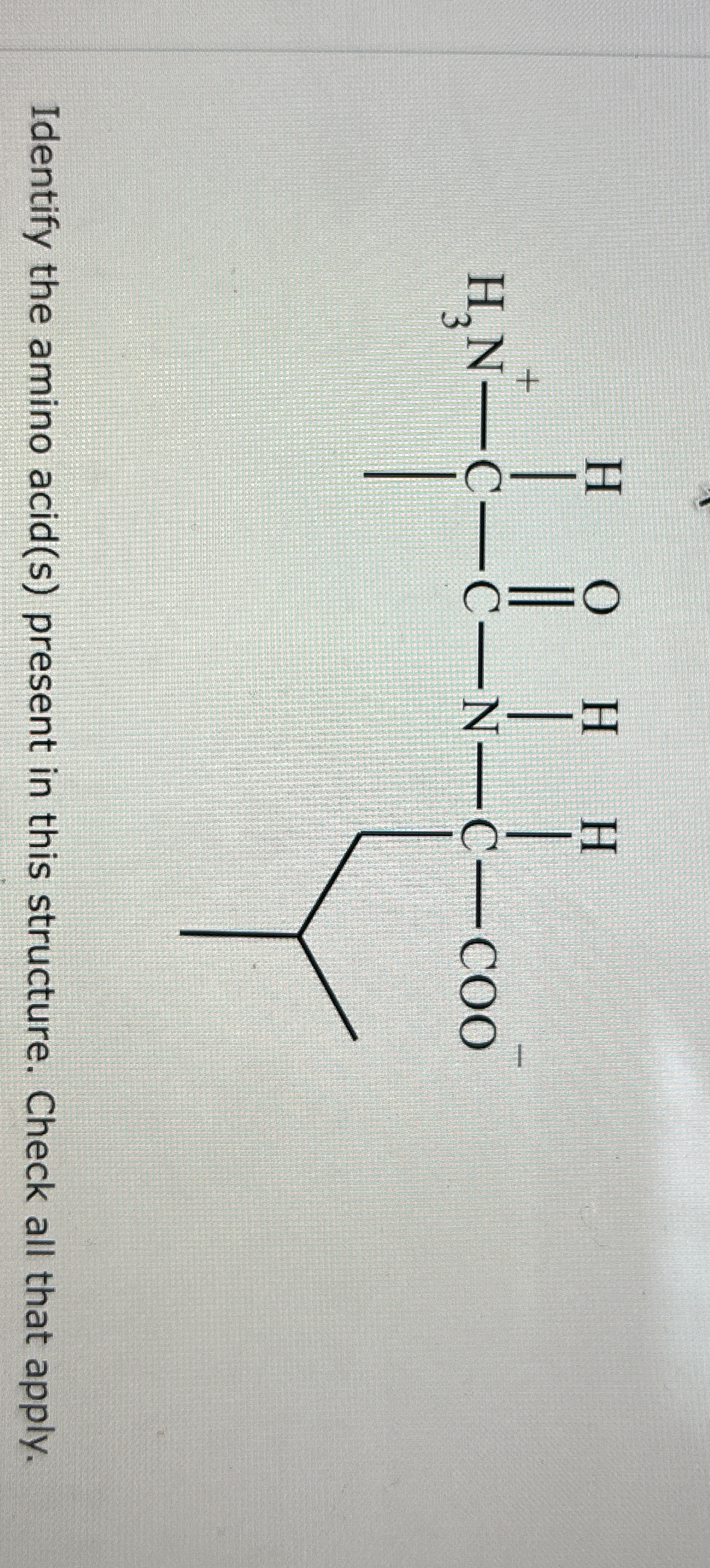 Solved Identify the amino acid(s) ﻿present in this | Chegg.com