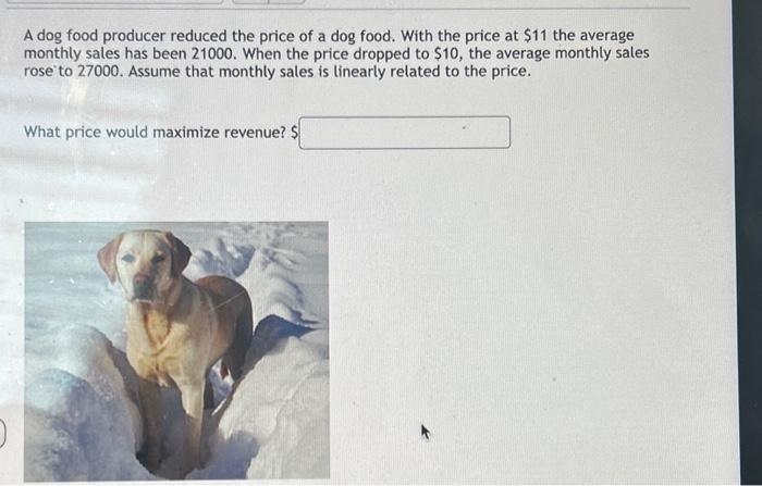 Average price outlet of dog food