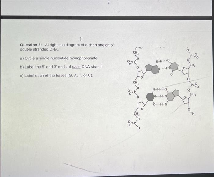 Solved 2 I Question 2: At right is a diagram of a short | Chegg.com