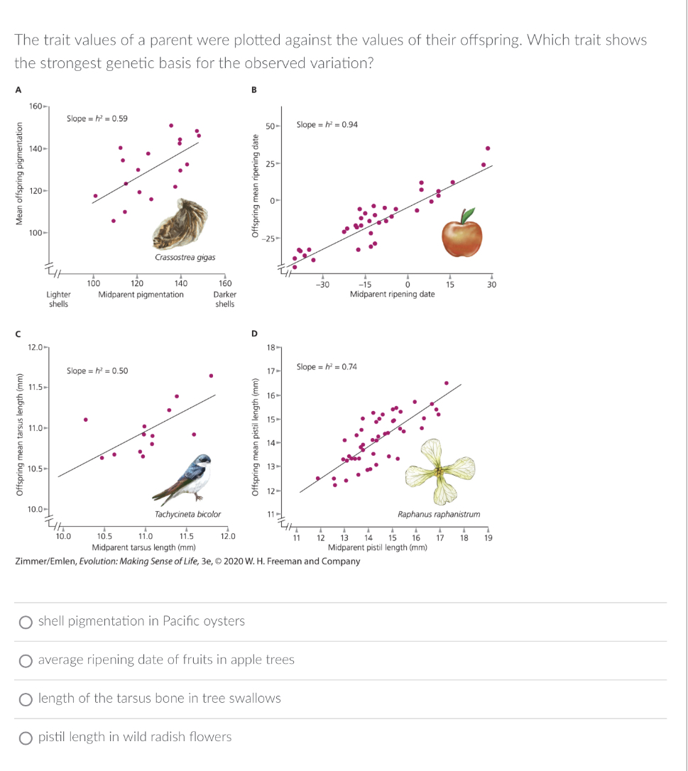 Solved The trait values of a parent were plotted against the | Chegg.com