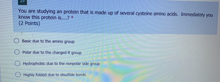 Solved You are studying an protein that is made up of | Chegg.com