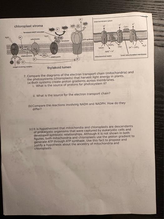Solved 7. Compare the diagrams of the electron transport | Chegg.com