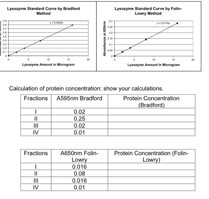 Solved 4. You are working on lysozyme protein concentration | Chegg.com