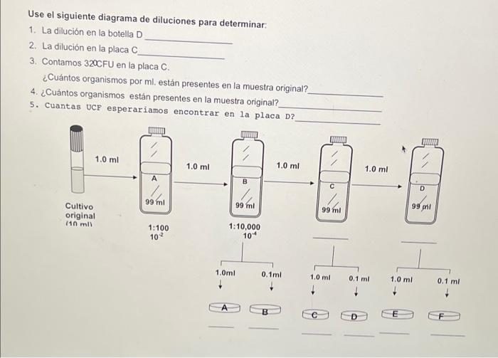 Use el siguiente diagrama de diluciones para determinar 1. La dilución en la botella D 2. La dilución en la placa C 3. Contam