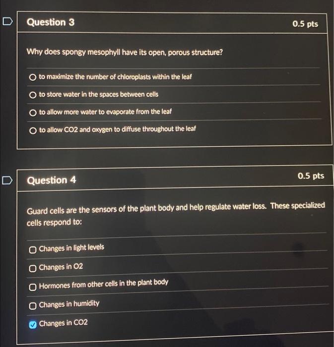 Solved Why does spongy mesophyll have its open, porous