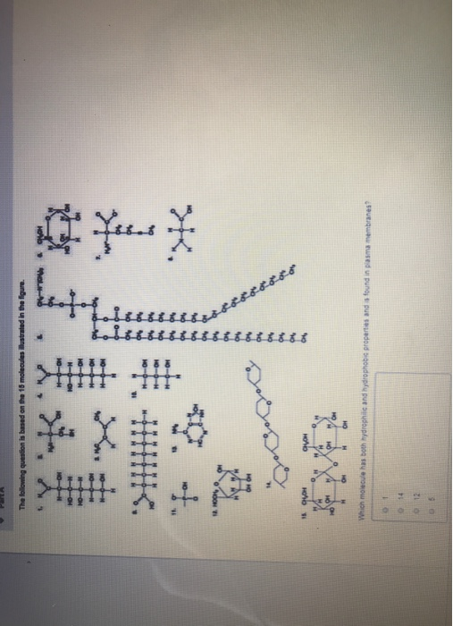 Solved The following question is based on the 16 molecules | Chegg.com