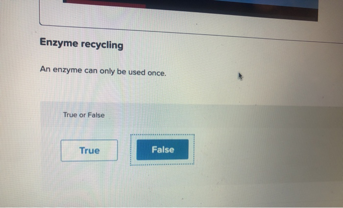 Solved Enzyme recycling An enzyme can only be used once. | Chegg.com