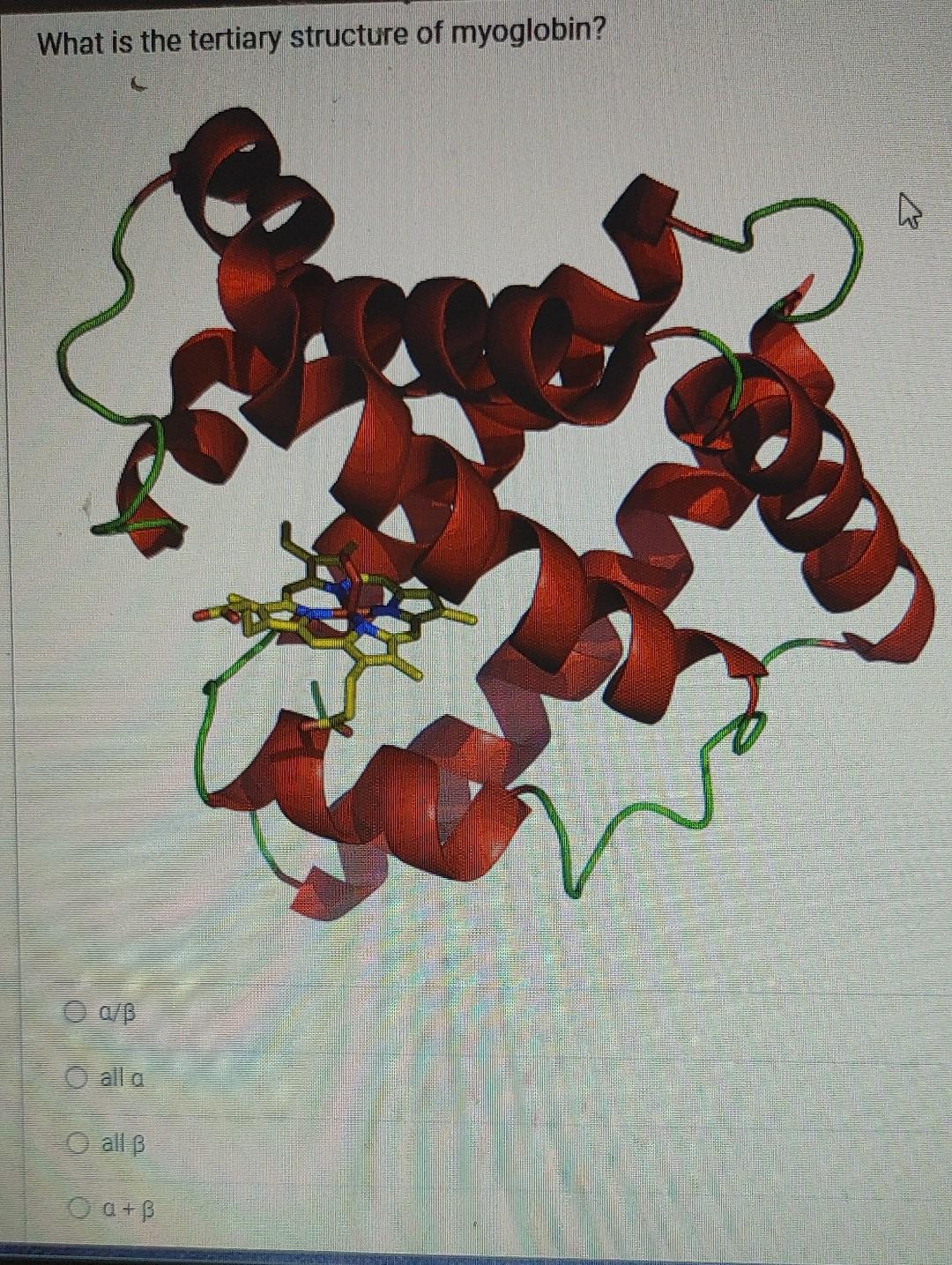 What is the tertiary structure of myoglobin?