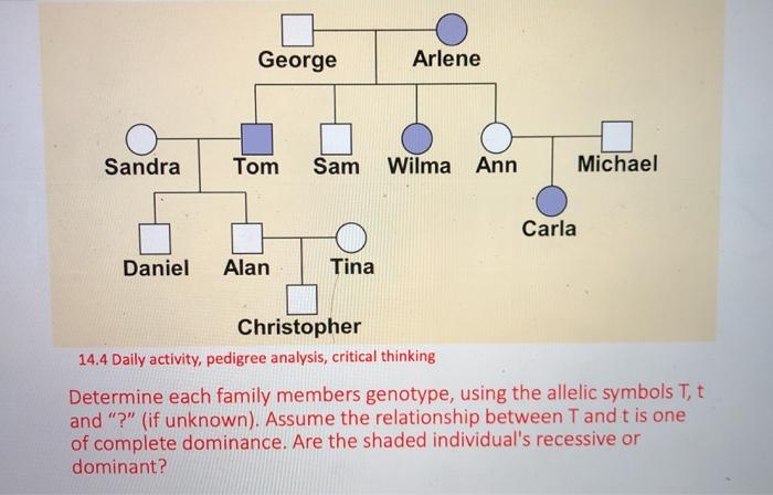 Little Frogs Kumala Chenin - SBTpedigree database Pedigree of