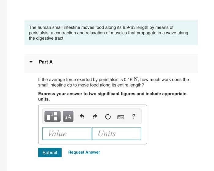 Solved The human small intestine moves food along its 6.9−m
