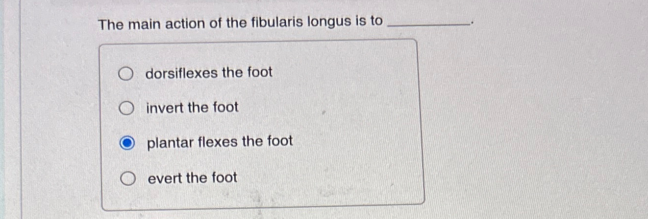 Solved The main action of the fibularis longus is | Chegg.com