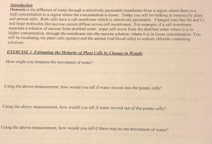 Solved Introduction Osmosis is the diffusion of water | Chegg.com