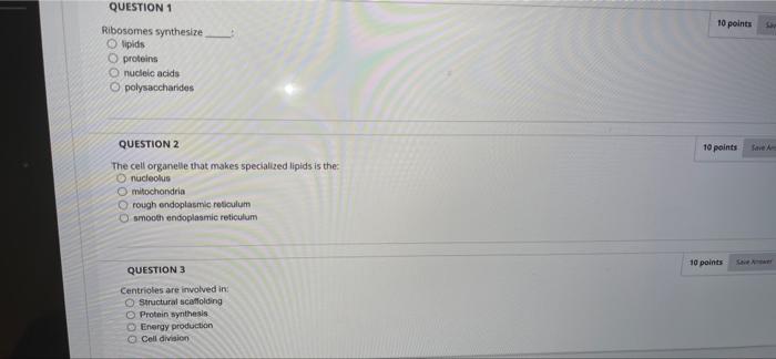 Solved Question Completion Status: 10 points QUESTION 1 | Chegg.com