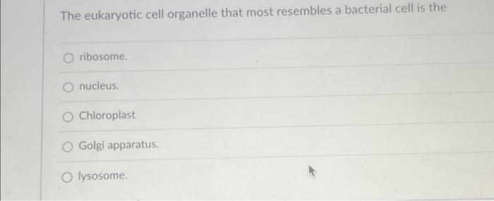 Solved The eukaryotic cell organelle that most resembles a | Chegg.com