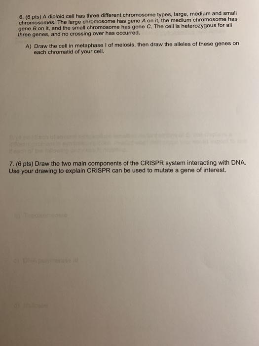 6. (6 pts) A diploid cell has three different | Chegg.com