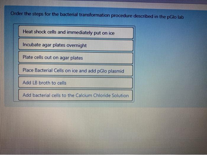 Solved Order the steps for the bacterial transformation | Chegg.com