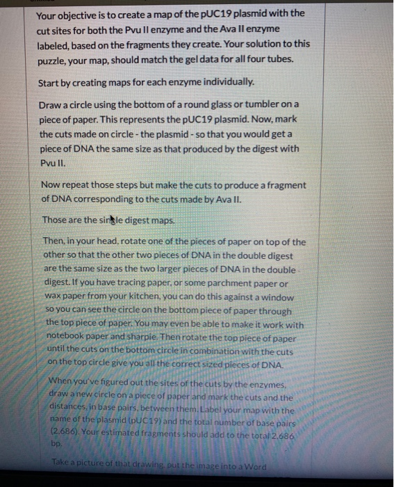 Solved Your objective is to create a map of the pUC19 | Chegg.com