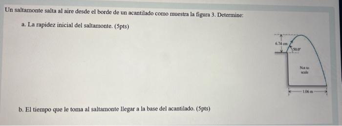 Un saltamonte salta al aire desde el borde de un acantilado como muestra la figura 3. Determine: a. La rapidez inicial del sa