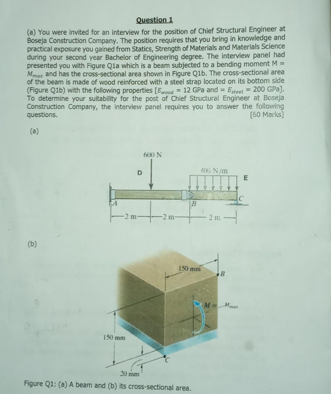 Solved show how to plot the stress distribution on the | Chegg.com