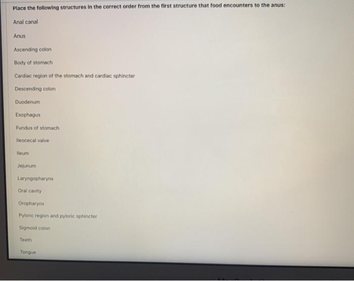 Solved Place the following structures in the correct order | Chegg.com