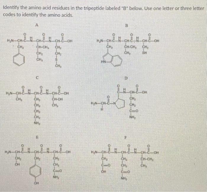 Solved Identify the amino acid residues in the tripeptide | Chegg.com