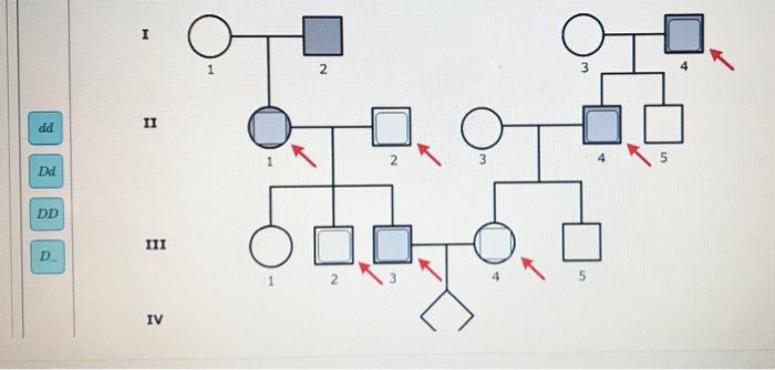 Solved Pedigree 1 Pedigree 2 Pedigree 3 autosomal recessive | Chegg.com