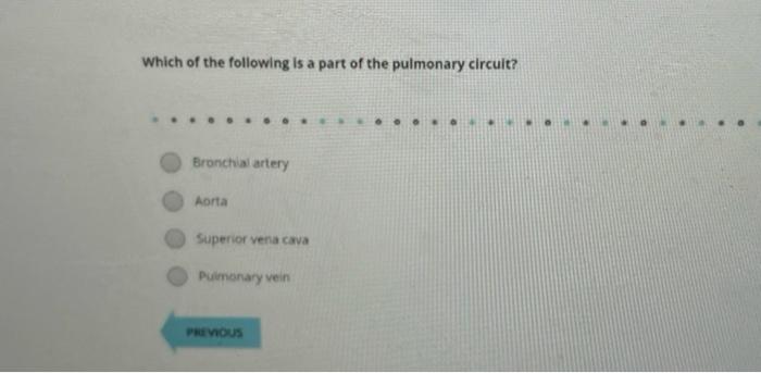 Which of the following is a part of the pulmonary circuit?
Bronchial artery
Aorta
Supenor vena cava
Pulmanary vein