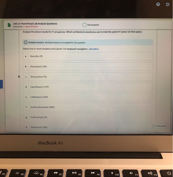 Solved LAB 12 PostVirtual Lab Analysis Questions Homework