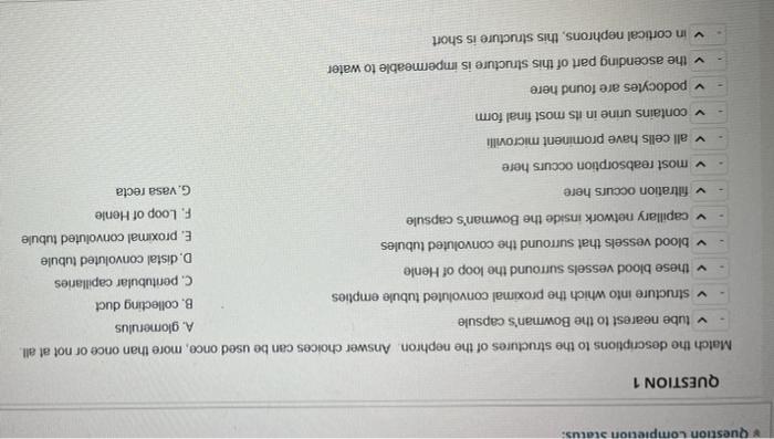 Solved Question completion Status: QUESTION 1 Match the | Chegg.com