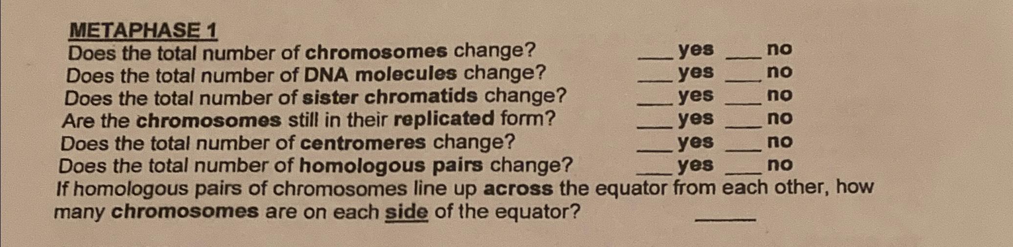 Solved METAPHASE 1Does the total number of chromosomes