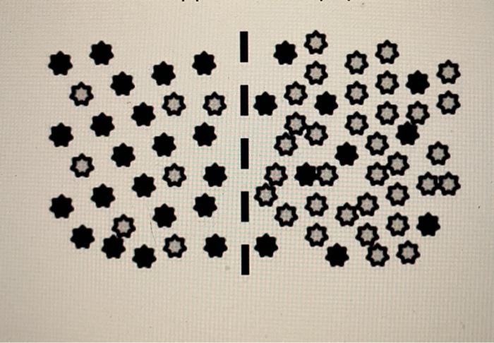 Solved Which answer describes what will happen to the | Chegg.com