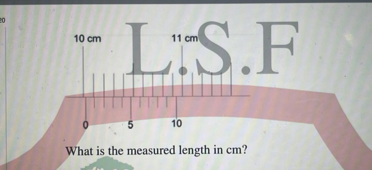 length в см
